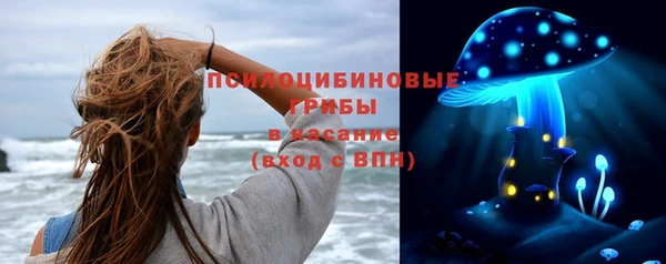 сатива Абинск