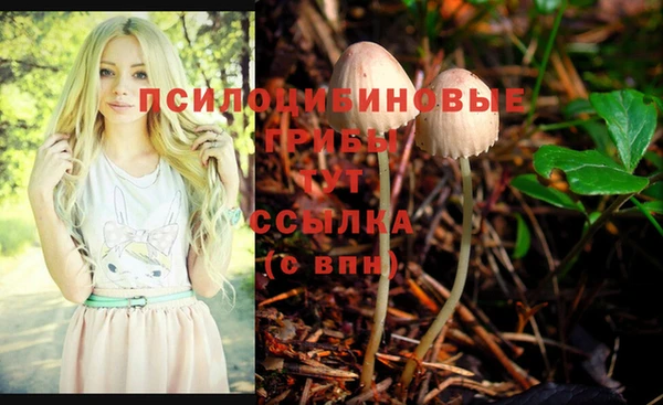 сатива Абинск