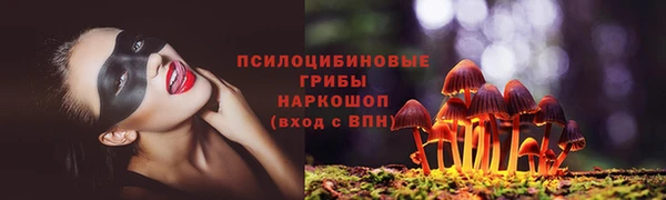 дмт Осташков