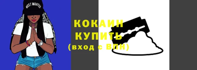 Альфа ПВП Осинники