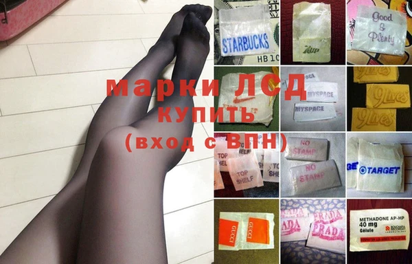 сатива Абинск