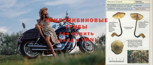 сатива Абинск