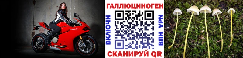 магазин продажи наркотиков Сертолово Галлюциногенные грибы MAGIC MUSHROOMS